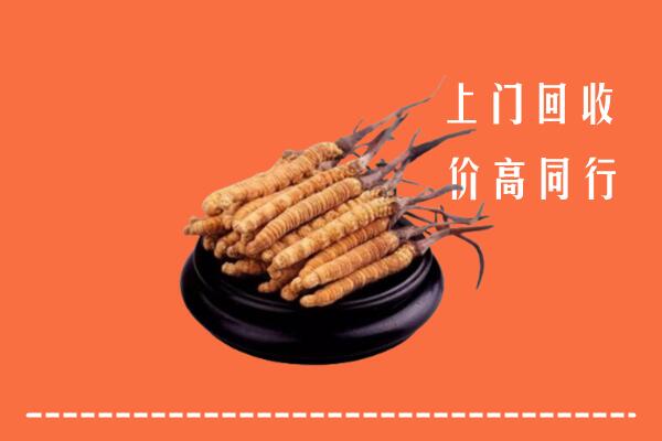 高价求购：玉树州称多回收散虫草