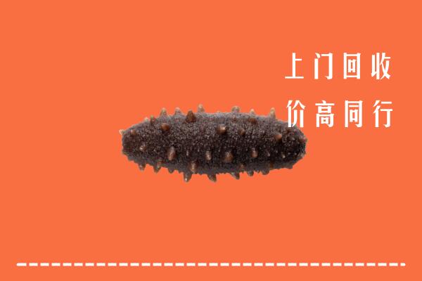 高价求购：玉树州称多回收海参