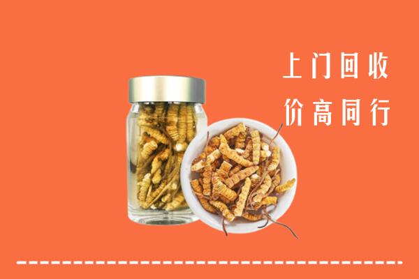 玉树州称多回收冬虫夏草