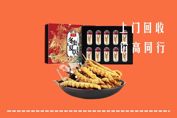 玉树州称多回收虫草